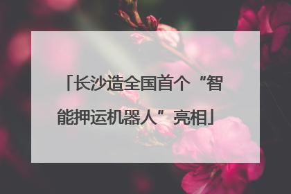 长沙造全国首个“智能押运机器人”亮相