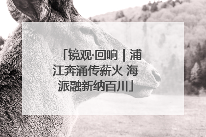 镜观·回响｜浦江奔涌传薪火 海派融新纳百川