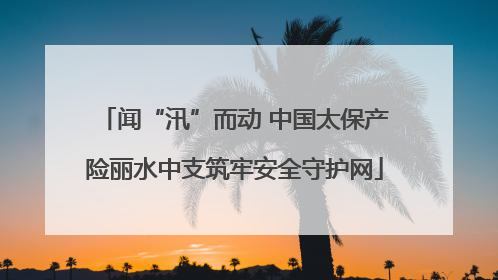 闻“汛”而动 中国太保产险丽水中支筑牢安全守护网