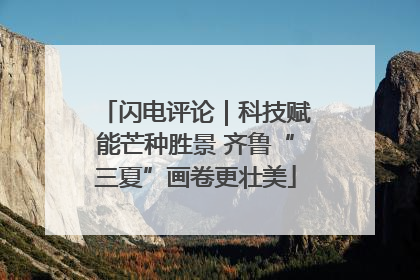 闪电评论｜科技赋能芒种胜景 齐鲁“三夏”画卷更壮美