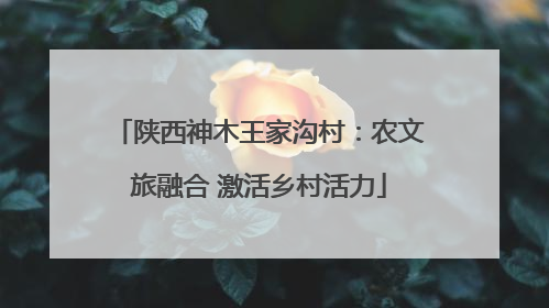 陕西神木王家沟村：农文旅融合 激活乡村活力