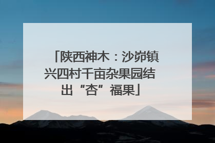 陕西神木：沙峁镇兴四村千亩杂果园结出“杏”福果