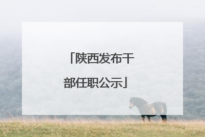 陕西发布干部任职公示