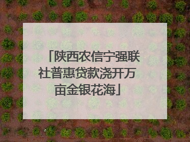 陕西农信宁强联社普惠贷款浇开万亩金银花海