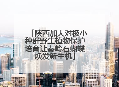 陕西加大对极小种群野生植物保护培育让秦岭石蝴蝶焕发新生机
