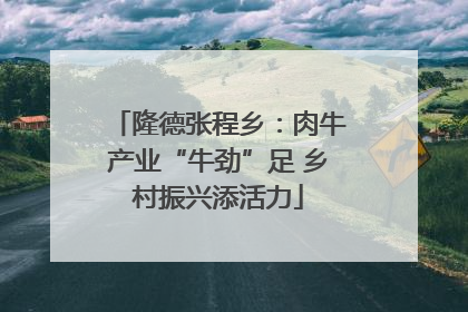 隆德张程乡：肉牛产业“牛劲”足 乡村振兴添活力