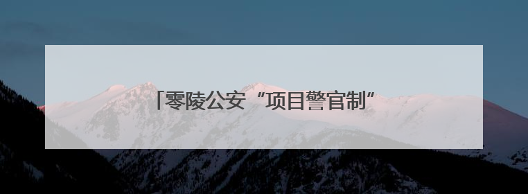 零陵公安“项目警官制”零距离规范执法护企安