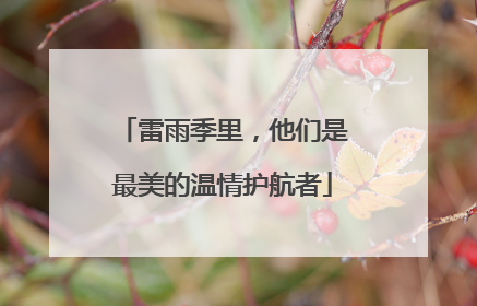 雷雨季里，他们是最美的温情护航者