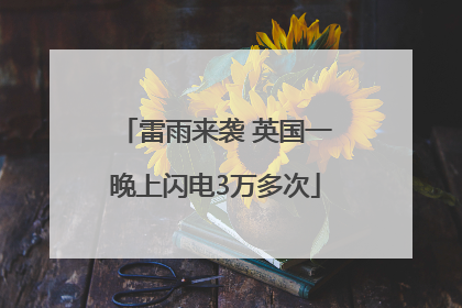 雷雨来袭 英国一晚上闪电3万多次
