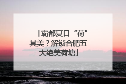 霸都夏日“荷”其美？解锁合肥五大绝美荷塘