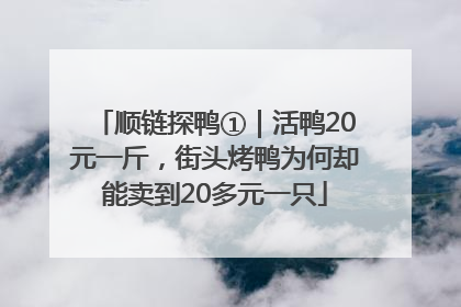 顺链探鸭①｜活鸭20元一斤，街头烤鸭为何却能卖到20多元一只