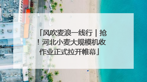 风吹麦浪一线行｜抢！河北小麦大规模机收作业正式拉开帷幕