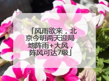 风雨欲来，北京今明两天迎局地阵雨+大风，阵风可达7级