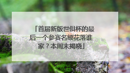 首届新版世俱杯的最后一个参赛名额花落谁家？本周末揭晓