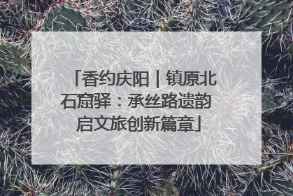 香约庆阳｜镇原北石窟驿：承丝路遗韵 启文旅创新篇章