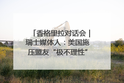香格里拉对话会｜瑞士媒体人：美国施压盟友“极不理性” 欧洲国家无意与中国“脱钩断链”