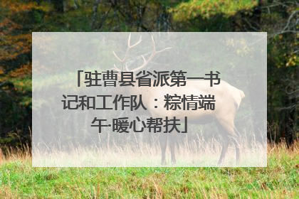 驻曹县省派第一书记和工作队：粽情端午·暖心帮扶