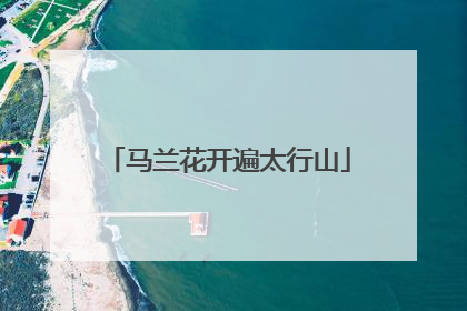马兰花开遍太行山