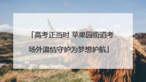 高考正当时 苹果园街道考场外温情守护为梦想护航