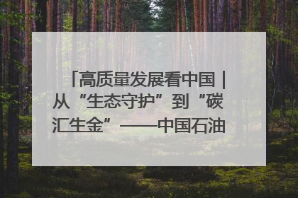 高质量发展看中国｜从“生态守护”到“碳汇生金”——中国石油大庆油田绿色蝶变