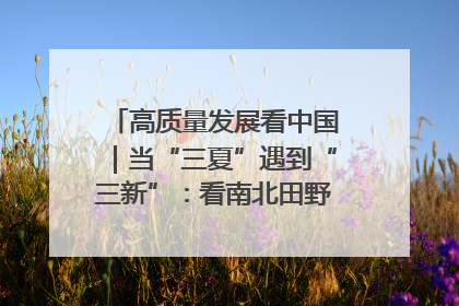 高质量发展看中国｜当“三夏”遇到“三新”：看南北田野里的科技共生记