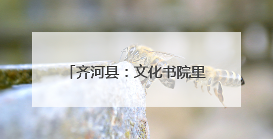 齐河县：文化书院里的“幸福密码 ”