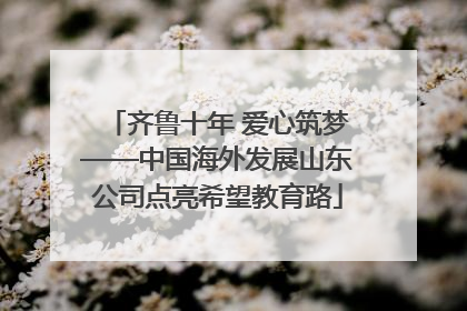 齐鲁十年 爱心筑梦——中国海外发展山东公司点亮希望教育路