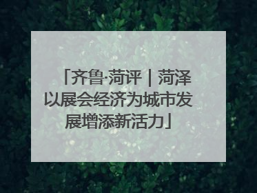 齐鲁·菏评｜菏泽以展会经济为城市发展增添新活力