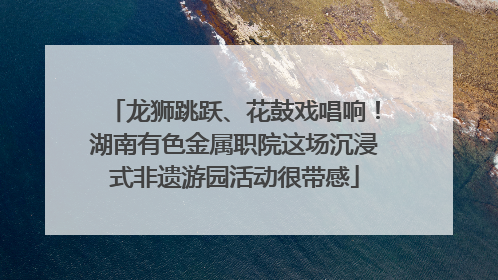 龙狮跳跃、花鼓戏唱响！湖南有色金属职院这场沉浸式非遗游园活动很带感