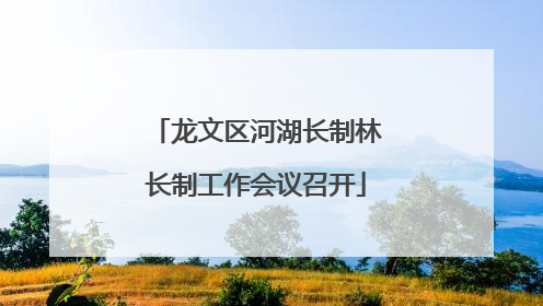 龙文区河湖长制林长制工作会议召开
