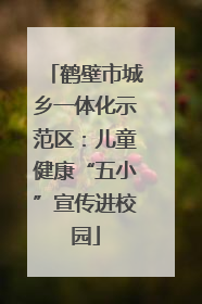 鹤壁市城乡一体化示范区：儿童健康“五小”宣传进校园