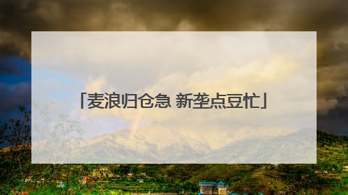 麦浪归仓急 新垄点豆忙
