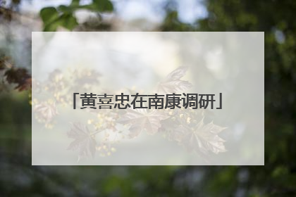 黄喜忠在南康调研