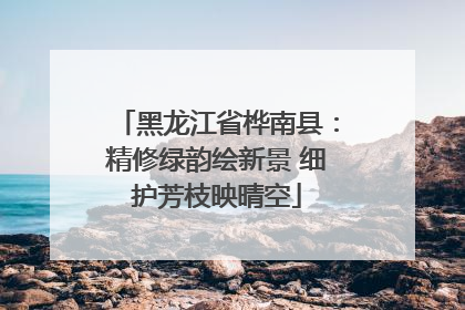 黑龙江省桦南县：精修绿韵绘新景 细护芳枝映晴空