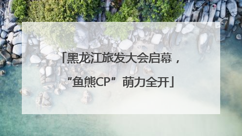 黑龙江旅发大会启幕，“鱼熊CP”萌力全开