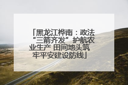 黑龙江桦南：政法“三箭齐发”护航农业生产 田间地头筑牢平安建设防线