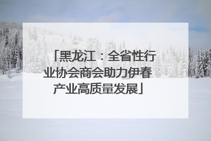 黑龙江：全省性行业协会商会助力伊春产业高质量发展