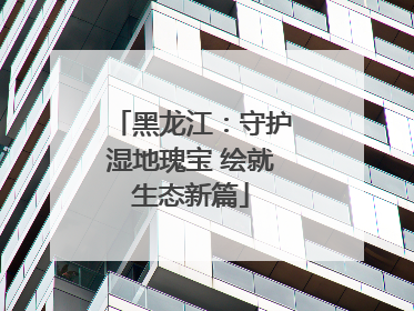 黑龙江：守护湿地瑰宝 绘就生态新篇
