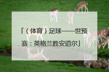 （体育）足球——世预赛：英格兰胜安道尔