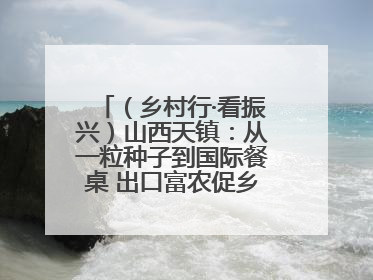 （乡村行·看振兴）山西天镇：从一粒种子到国际餐桌 出口富农促乡村振兴