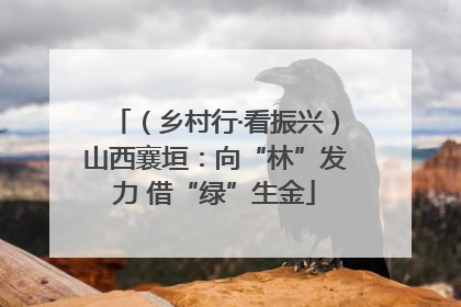 （乡村行·看振兴）山西襄垣：向“林”发力 借“绿”生金