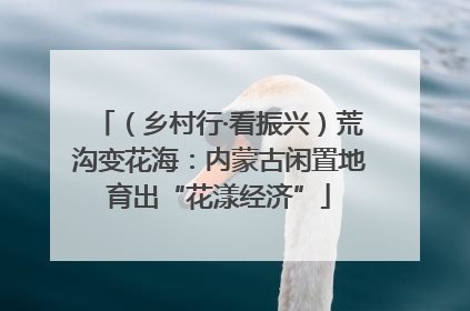 （乡村行·看振兴）荒沟变花海：内蒙古闲置地育出“花漾经济”