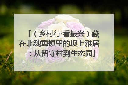 (乡村行·看振兴)藏在北魏重镇里的坝上雅居:从留守村到生态园