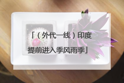 （外代一线）印度提前进入季风雨季
