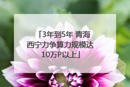 3年到5年 青海西宁力争算力规模达10万P以上
