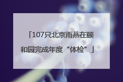 107只北京雨燕在颐和园完成年度“体检”