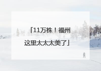 11万株！福州这里太太太美了