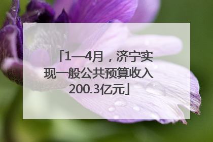 1—4月，济宁实现一般公共预算收入200.3亿元