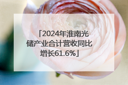 2024年淮南光储产业合计营收同比增长61.6%