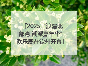 2025“浪漫北部湾 潮派嘉年华”欢乐周在钦州开幕